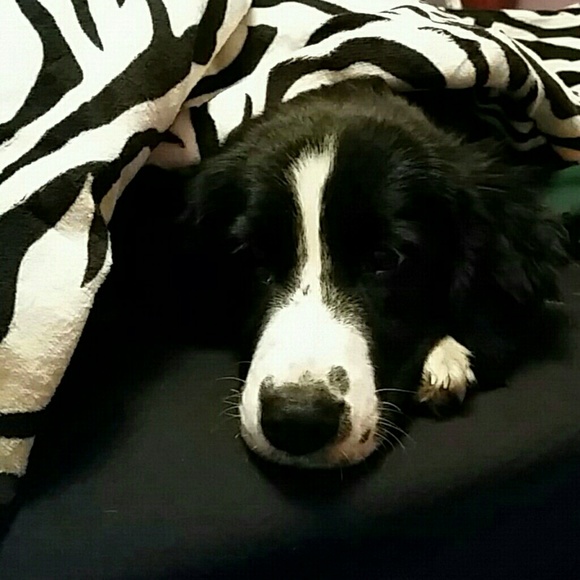 Meet your Posher, Heather - Picture 1 of 1